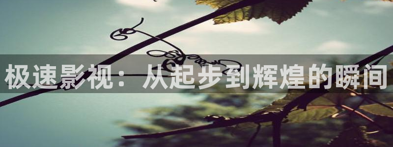 4480yy私人免费影院：极速影视：从起步到辉煌的瞬间