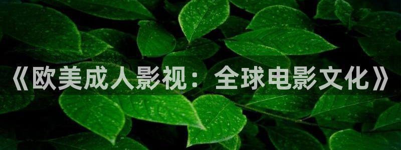 私人影院陪：《欧美成人影视：全球电影文化》
